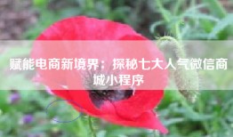 赋能电商新境界：探秘七大人气微信商城小程序