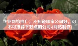 企业网络推广，不知道哪家公司好，可不可推荐下好点的公司-[网站制作]