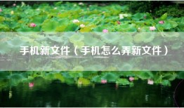 手机新文件（手机怎么弄新文件）