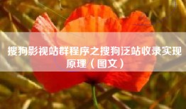 搜狗影视站群程序之搜狗泛站收录实现原理（图文）