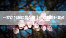 一家店的利润怎么算（门店利润计算公式）