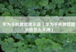 华为手机微信提示音（华为手机微信提示音怎么关闭）