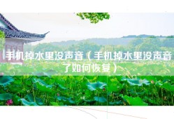 手机掉水里没声音（手机掉水里没声音了如何恢复）