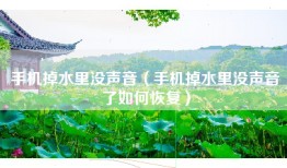 手机掉水里没声音（手机掉水里没声音了如何恢复）