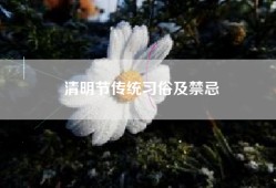 清明节传统习俗及禁忌
