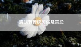 清明节传统习俗及禁忌