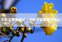 手机灵敏度测试（手机灵敏度测试网站）