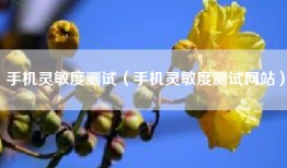 手机灵敏度测试（手机灵敏度测试网站）