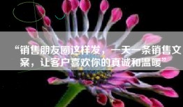 “销售朋友圈这样发，一天一条销售文案，让客户喜欢你的真诚和温暖”