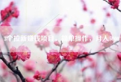 3个拉新赚钱项目，简单操作，月入5000