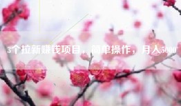 3个拉新赚钱项目，简单操作，月入5000