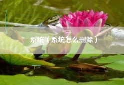 系统（系统怎么删除）