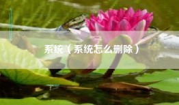 系统（系统怎么删除）