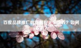 百度品牌推广收费解析，多少钱？如何收费？