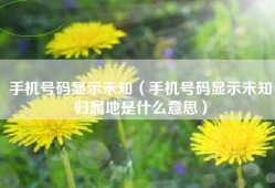 手机号码显示未知（手机号码显示未知归属地是什么意思）