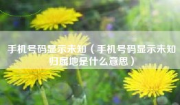 手机号码显示未知（手机号码显示未知归属地是什么意思）