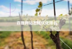 百度网站怎样优化排名