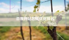 百度网站怎样优化排名