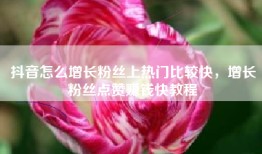 抖音怎么增长粉丝上热门比较快，增长粉丝点赞赚钱快教程