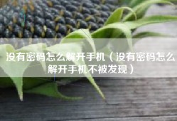 没有密码怎么解开手机（没有密码怎么解开手机不被发现）