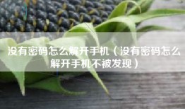 没有密码怎么解开手机（没有密码怎么解开手机不被发现）