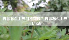 抖音怎么上热门不花钱？抖音怎么上热门方法
