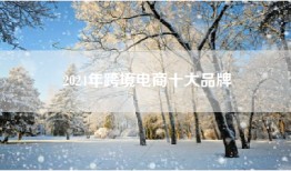 2024年跨境电商十大品牌