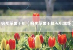 购买苹果手机（购买苹果手机充电器线）