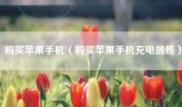 购买苹果手机（购买苹果手机充电器线）