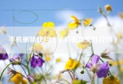 手机删除找回（手机删除文件找回）