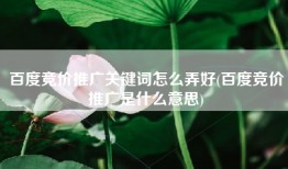 百度竞价推广关键词怎么弄好(百度竞价推广是什么意思)