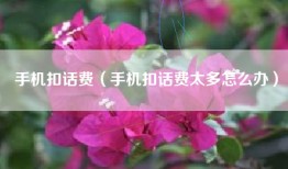 手机扣话费（手机扣话费太多怎么办）