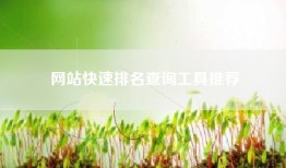 网站快速排名查询工具推荐