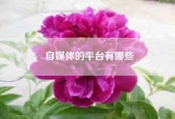自媒体的平台有哪些