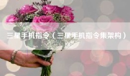 三星手机指令（三星手机指令集架构）