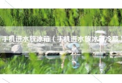 手机进水放冰箱（手机进水放冰箱冷藏）