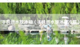 手机进水放冰箱（手机进水放冰箱冷藏）