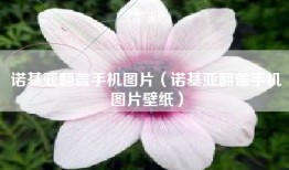 诺基亚翻盖手机图片（诺基亚翻盖手机图片壁纸）