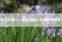 手机访问nas（手机访问nas中的视频很卡）