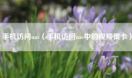 手机访问nas（手机访问nas中的视频很卡）