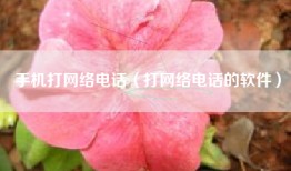 手机打网络电话（打网络电话的软件）