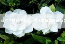 5.5寸手机分辨率（5.5寸手机屏幕分辨率）
