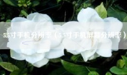 5.5寸手机分辨率（5.5寸手机屏幕分辨率）