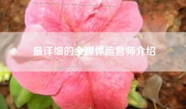 最详细的全媒体运营师介绍