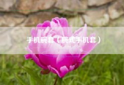 手机腕套（腕式手机套）