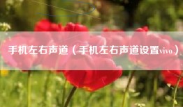 手机左右声道（手机左右声道设置vivo）