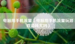 电脑用手机流量（电脑用手机流量玩游戏消耗大吗）