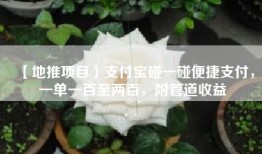 【地推项目】支付宝碰一碰便捷支付，一单一百至两百，附管道收益