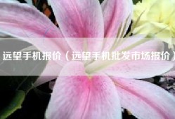 远望手机报价（远望手机批发市场报价）