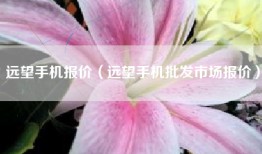 远望手机报价（远望手机批发市场报价）
